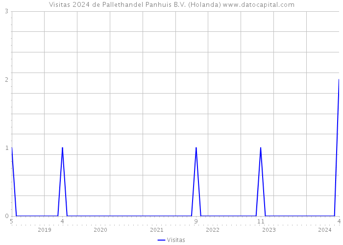 Visitas 2024 de Pallethandel Panhuis B.V. (Holanda) 