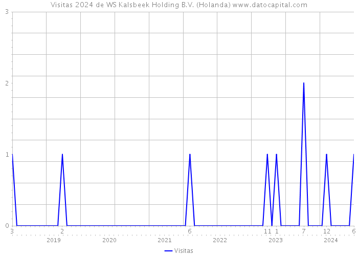 Visitas 2024 de WS Kalsbeek Holding B.V. (Holanda) 