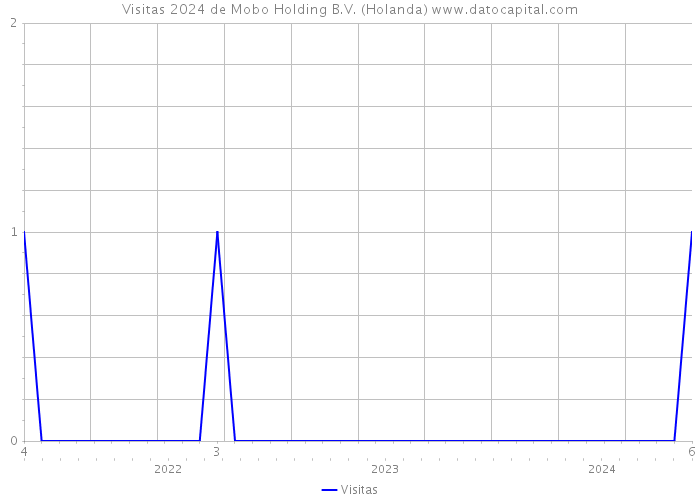 Visitas 2024 de Mobo Holding B.V. (Holanda) 