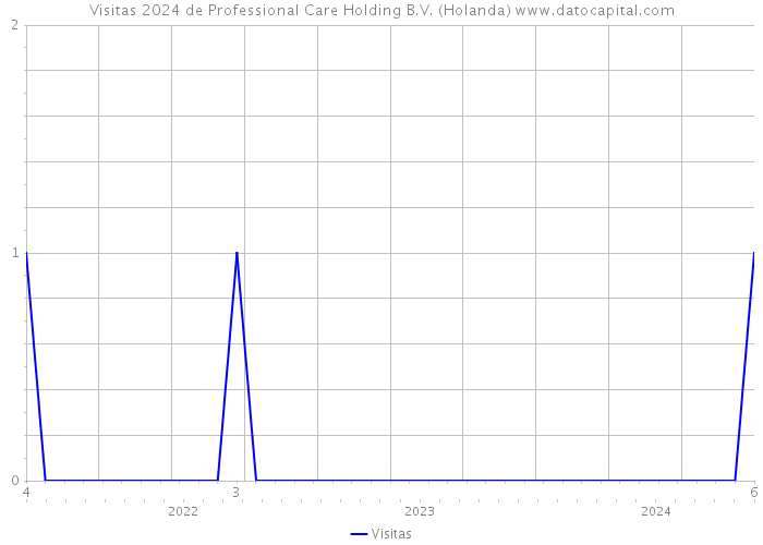 Visitas 2024 de Professional Care Holding B.V. (Holanda) 