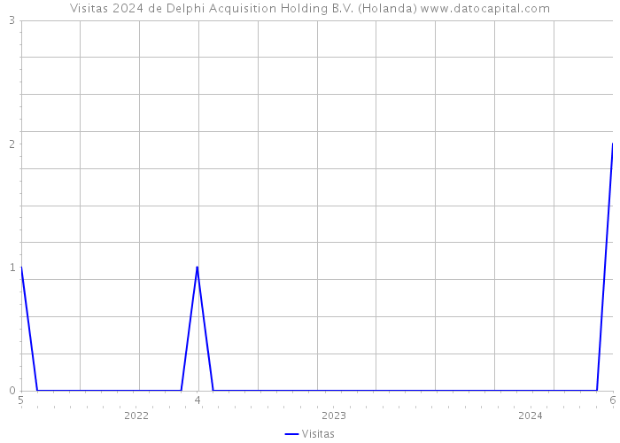 Visitas 2024 de Delphi Acquisition Holding B.V. (Holanda) 