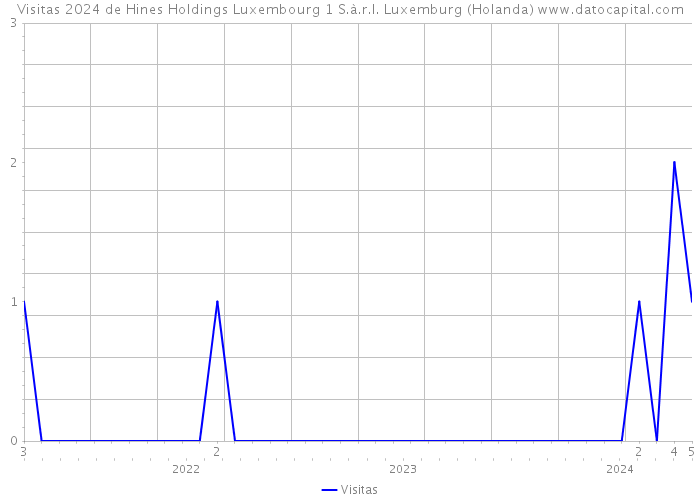 Visitas 2024 de Hines Holdings Luxembourg 1 S.à.r.l. Luxemburg (Holanda) 