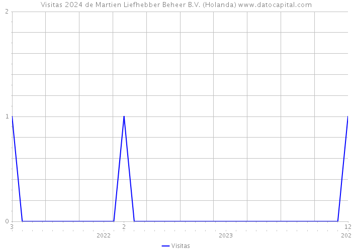 Visitas 2024 de Martien Liefhebber Beheer B.V. (Holanda) 