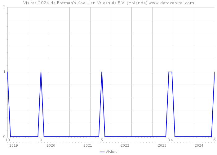 Visitas 2024 de Botman's Koel- en Vrieshuis B.V. (Holanda) 