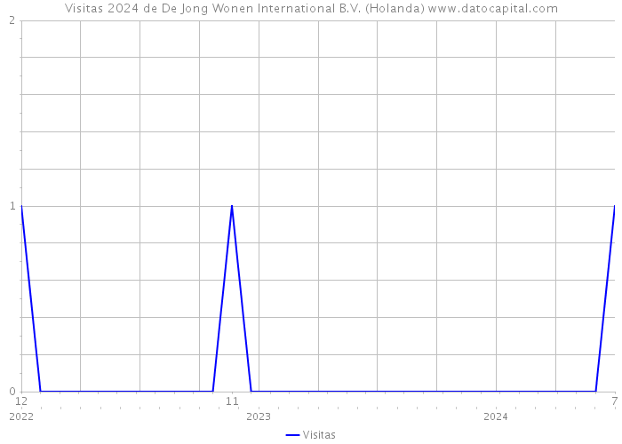 Visitas 2024 de De Jong Wonen International B.V. (Holanda) 