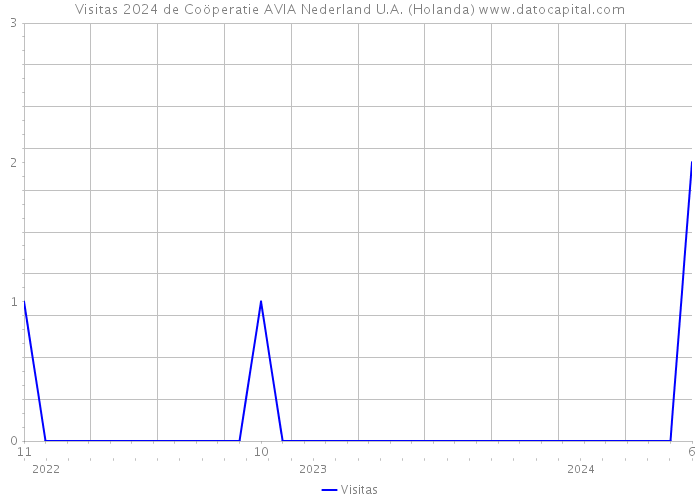 Visitas 2024 de Coöperatie AVIA Nederland U.A. (Holanda) 