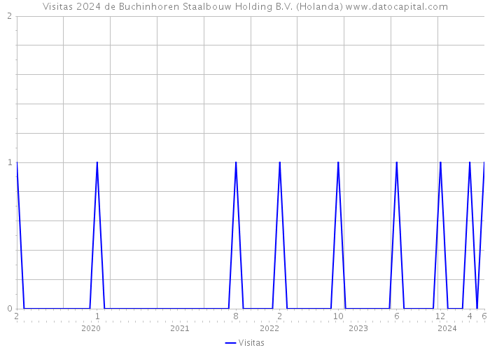 Visitas 2024 de Buchinhoren Staalbouw Holding B.V. (Holanda) 