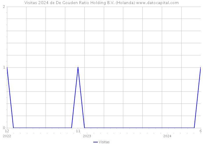 Visitas 2024 de De Gouden Ratio Holding B.V. (Holanda) 