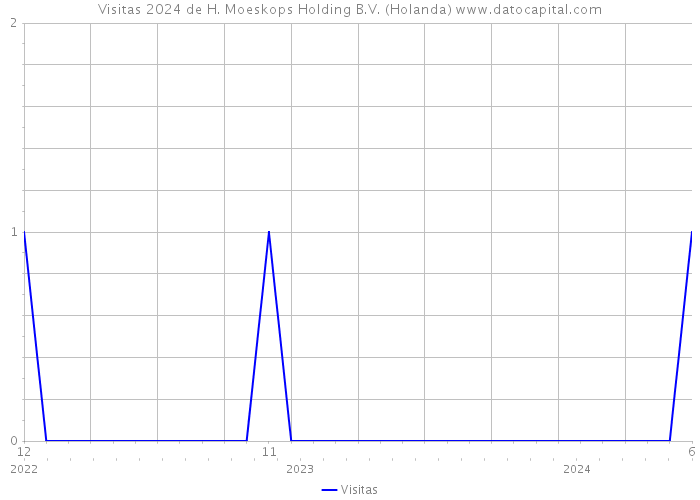 Visitas 2024 de H. Moeskops Holding B.V. (Holanda) 