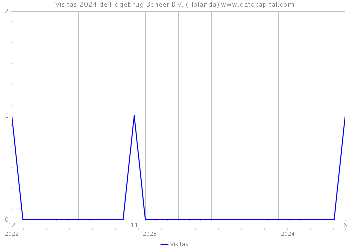 Visitas 2024 de Hogebrug Beheer B.V. (Holanda) 