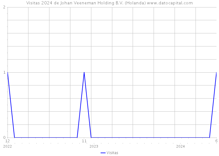 Visitas 2024 de Johan Veeneman Holding B.V. (Holanda) 