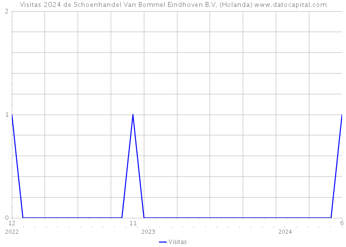 Visitas 2024 de Schoenhandel Van Bommel Eindhoven B.V. (Holanda) 