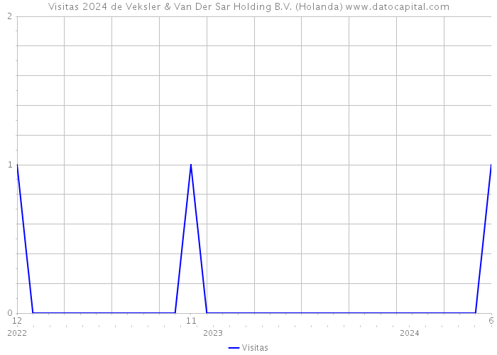 Visitas 2024 de Veksler & Van Der Sar Holding B.V. (Holanda) 