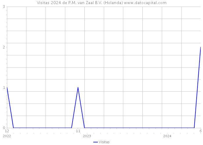 Visitas 2024 de P.M. van Zaal B.V. (Holanda) 