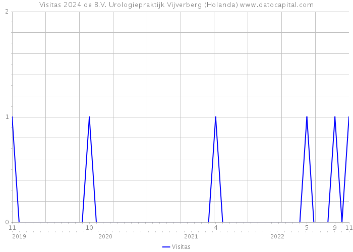 Visitas 2024 de B.V. Urologiepraktijk Vijverberg (Holanda) 