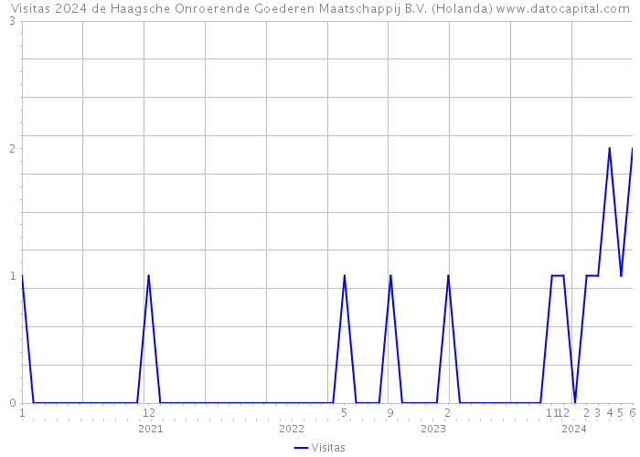 Visitas 2024 de Haagsche Onroerende Goederen Maatschappij B.V. (Holanda) 