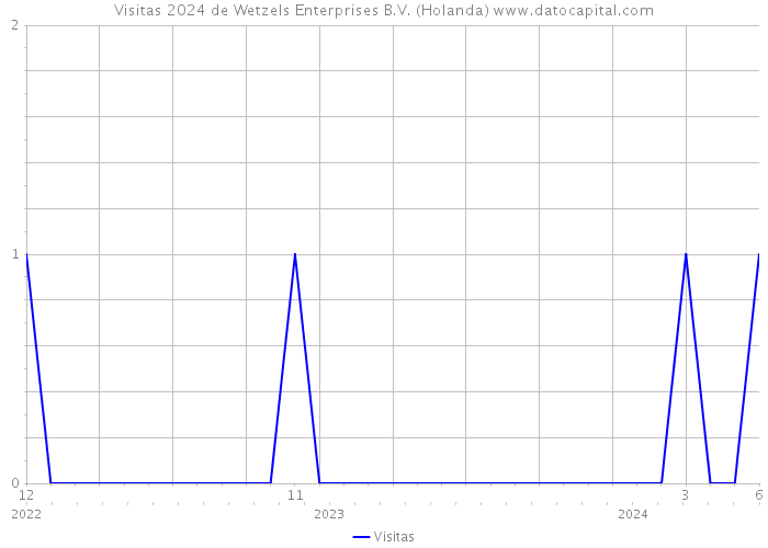 Visitas 2024 de Wetzels Enterprises B.V. (Holanda) 