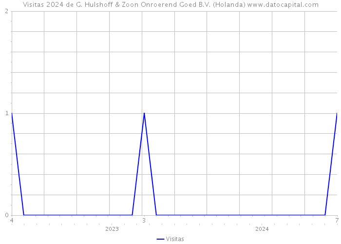 Visitas 2024 de G. Hulshoff & Zoon Onroerend Goed B.V. (Holanda) 