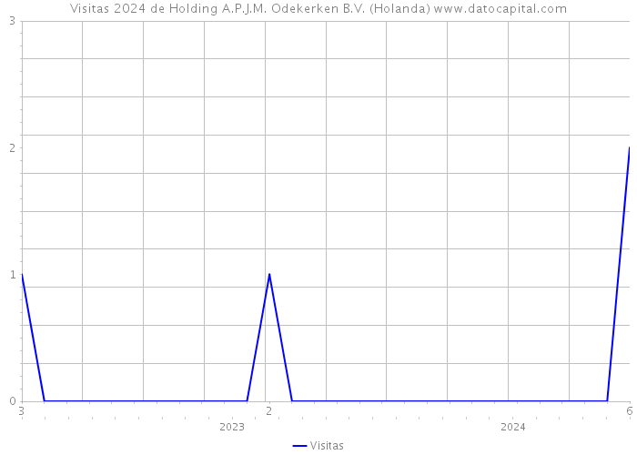 Visitas 2024 de Holding A.P.J.M. Odekerken B.V. (Holanda) 