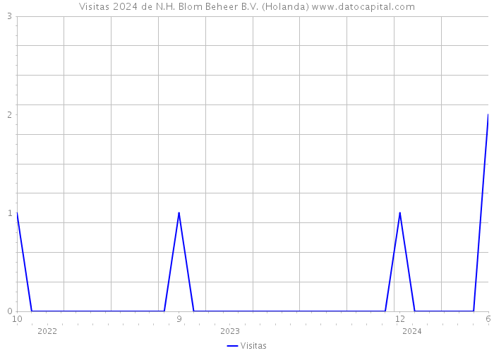 Visitas 2024 de N.H. Blom Beheer B.V. (Holanda) 