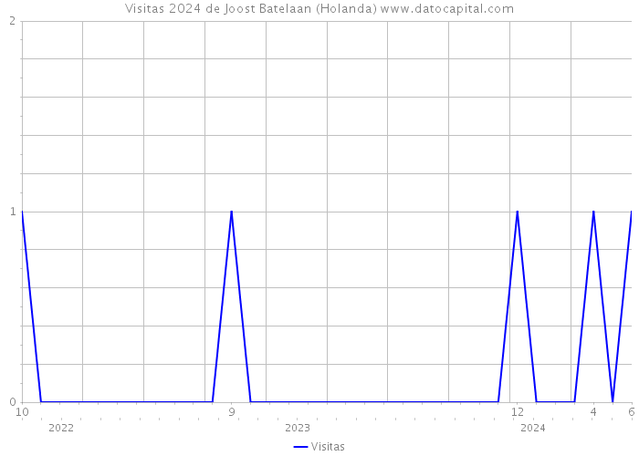 Visitas 2024 de Joost Batelaan (Holanda) 