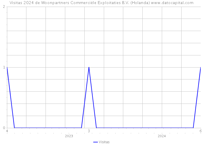 Visitas 2024 de Woonpartners Commerciële Exploitaties B.V. (Holanda) 