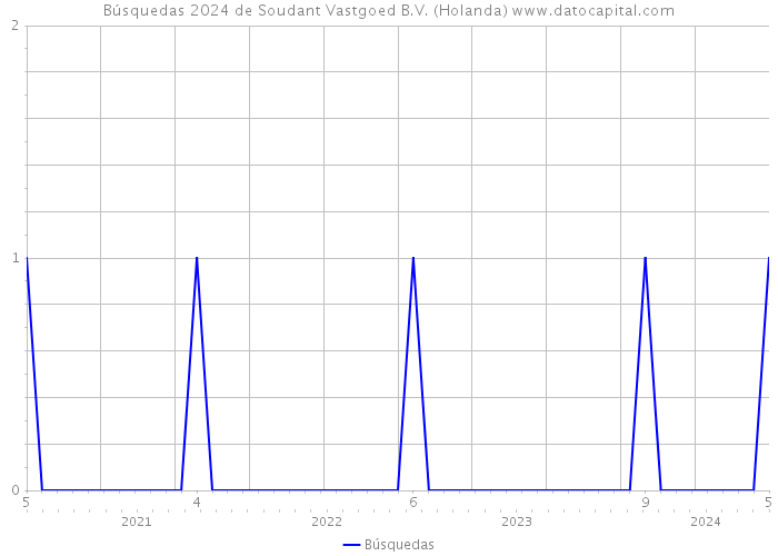 Búsquedas 2024 de Soudant Vastgoed B.V. (Holanda) 