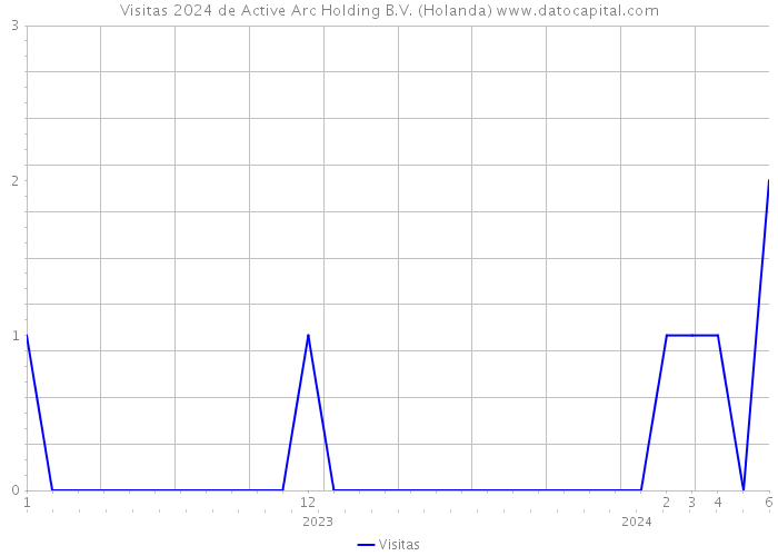 Visitas 2024 de Active Arc Holding B.V. (Holanda) 