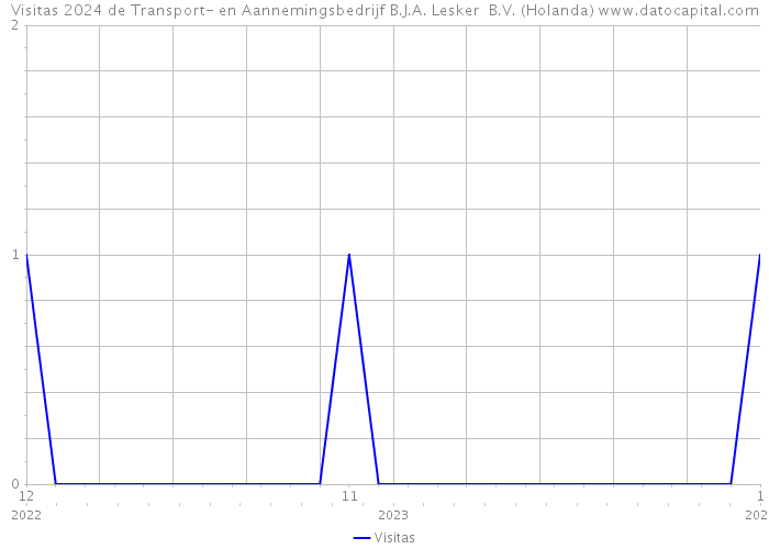 Visitas 2024 de Transport- en Aannemingsbedrijf B.J.A. Lesker B.V. (Holanda) 