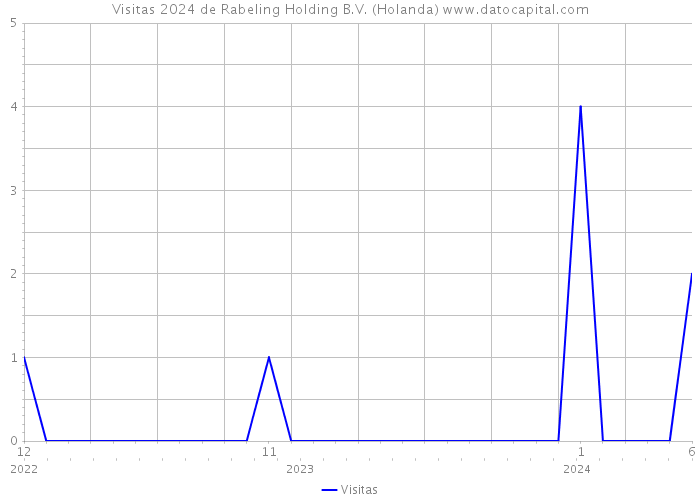 Visitas 2024 de Rabeling Holding B.V. (Holanda) 