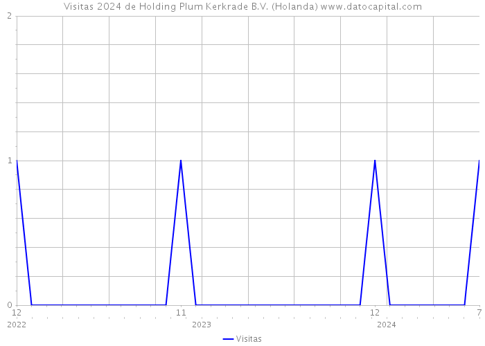 Visitas 2024 de Holding Plum Kerkrade B.V. (Holanda) 