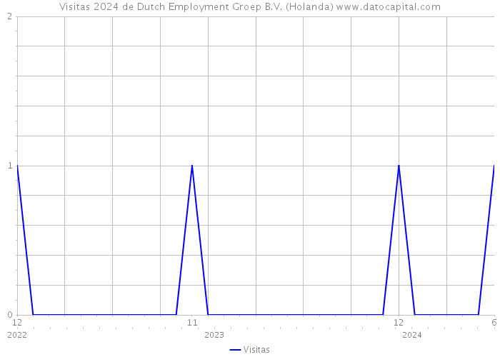 Visitas 2024 de Dutch Employment Groep B.V. (Holanda) 