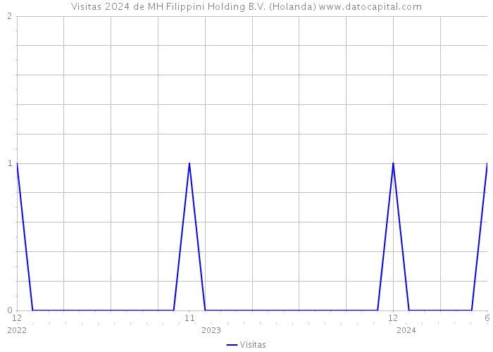 Visitas 2024 de MH Filippini Holding B.V. (Holanda) 