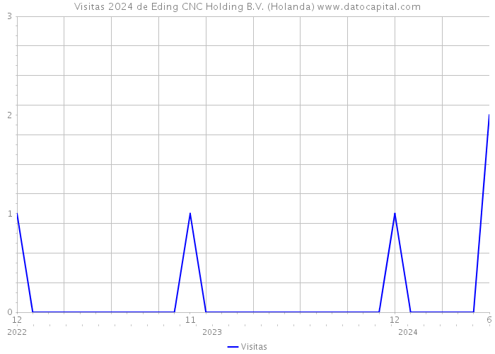 Visitas 2024 de Eding CNC Holding B.V. (Holanda) 