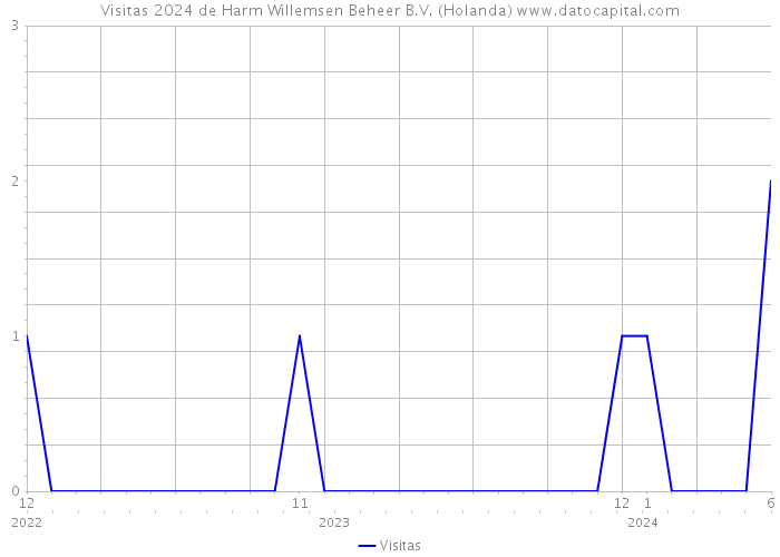 Visitas 2024 de Harm Willemsen Beheer B.V. (Holanda) 