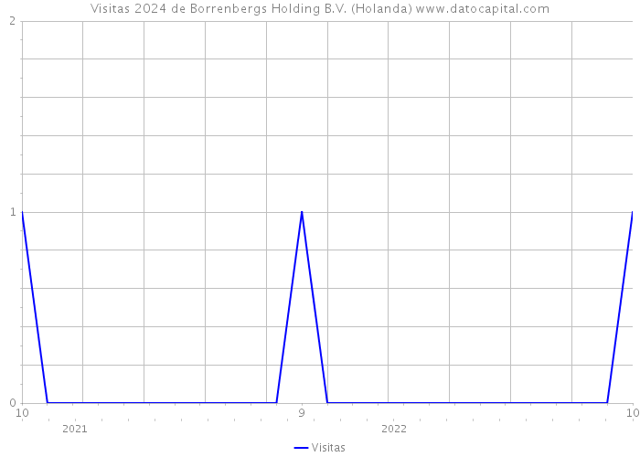 Visitas 2024 de Borrenbergs Holding B.V. (Holanda) 