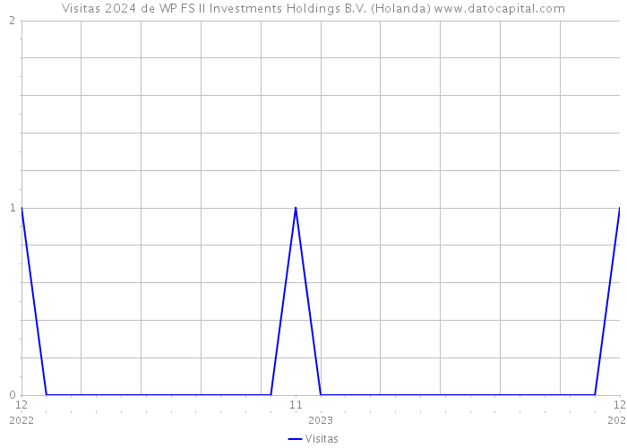 Visitas 2024 de WP FS II Investments Holdings B.V. (Holanda) 