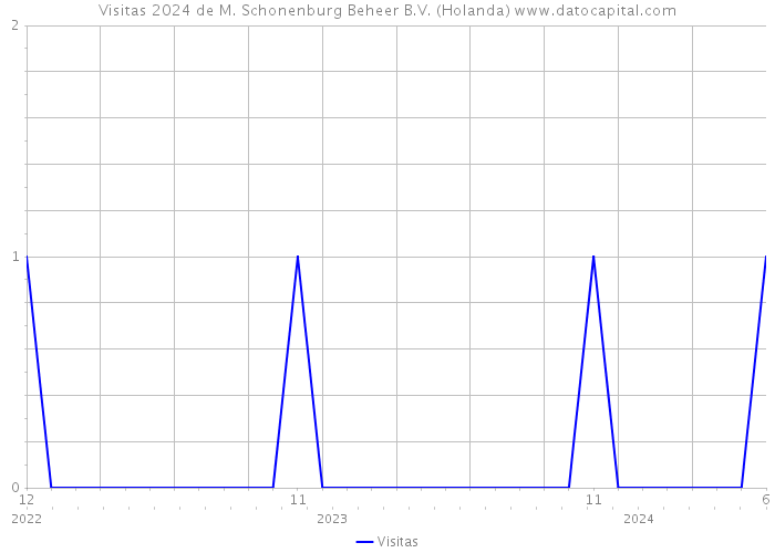 Visitas 2024 de M. Schonenburg Beheer B.V. (Holanda) 