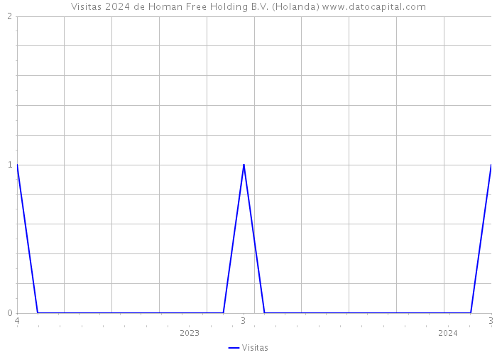 Visitas 2024 de Homan Free Holding B.V. (Holanda) 