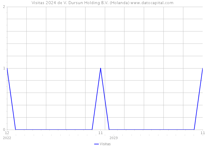 Visitas 2024 de V. Dursun Holding B.V. (Holanda) 