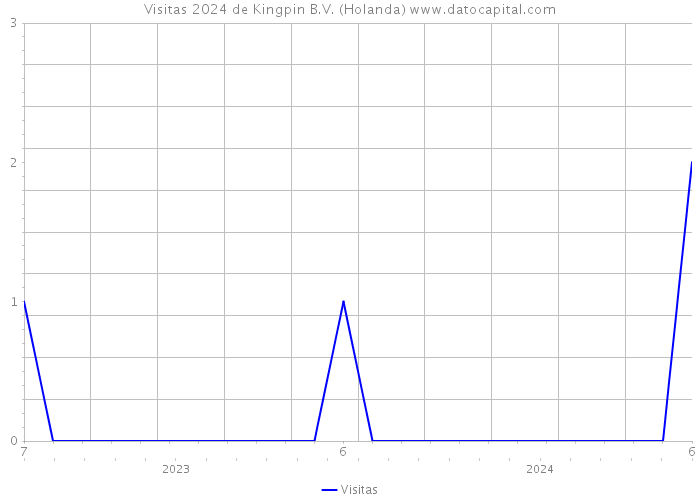 Visitas 2024 de Kingpin B.V. (Holanda) 