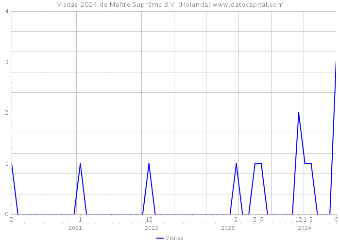 Visitas 2024 de Maître Suprême B.V. (Holanda) 