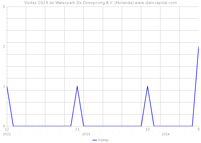 Visitas 2024 de Waterpark De Driesprong B.V. (Holanda) 