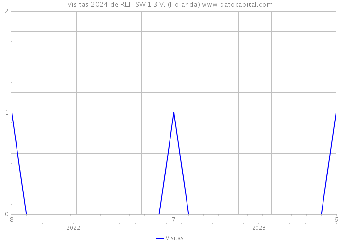 Visitas 2024 de REH SW 1 B.V. (Holanda) 