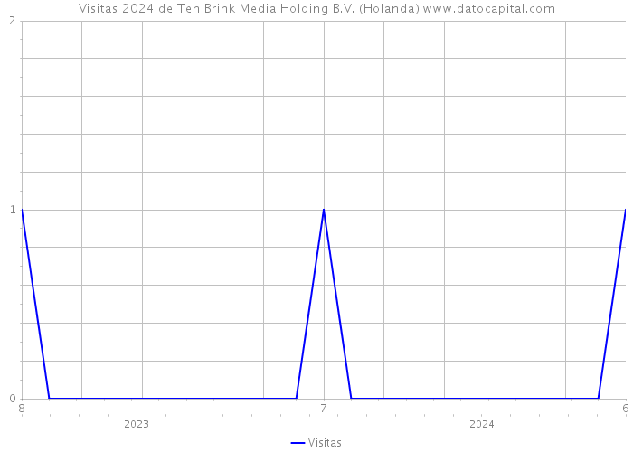 Visitas 2024 de Ten Brink Media Holding B.V. (Holanda) 