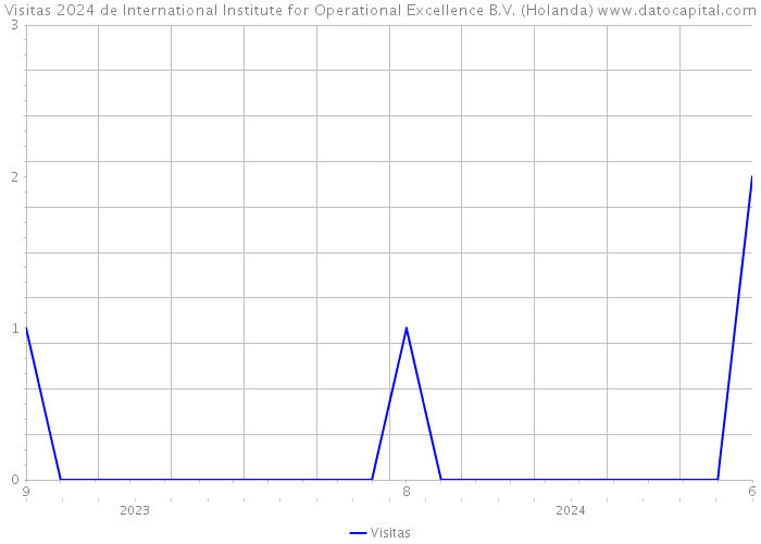 Visitas 2024 de International Institute for Operational Excellence B.V. (Holanda) 