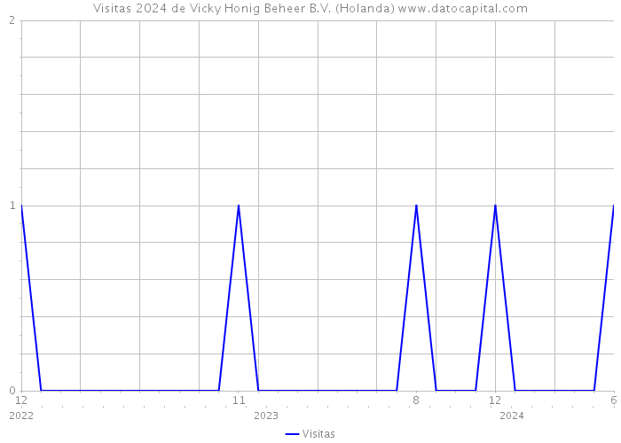 Visitas 2024 de Vicky Honig Beheer B.V. (Holanda) 