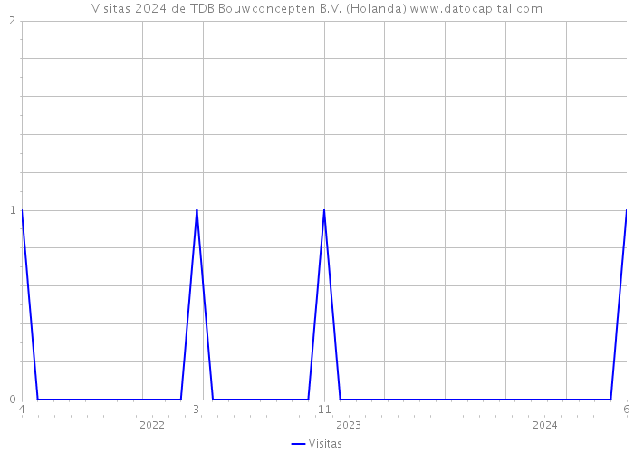 Visitas 2024 de TDB Bouwconcepten B.V. (Holanda) 