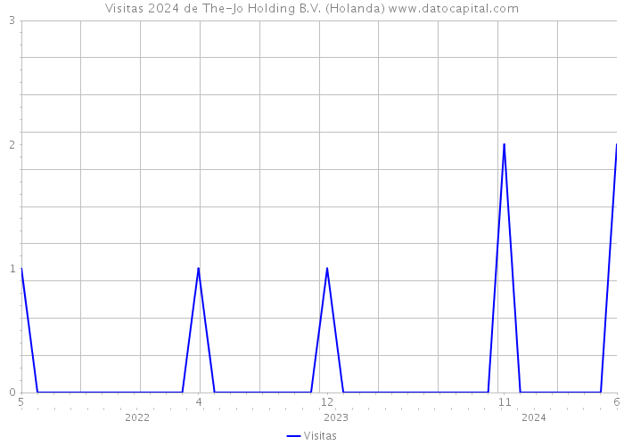 Visitas 2024 de The-Jo Holding B.V. (Holanda) 