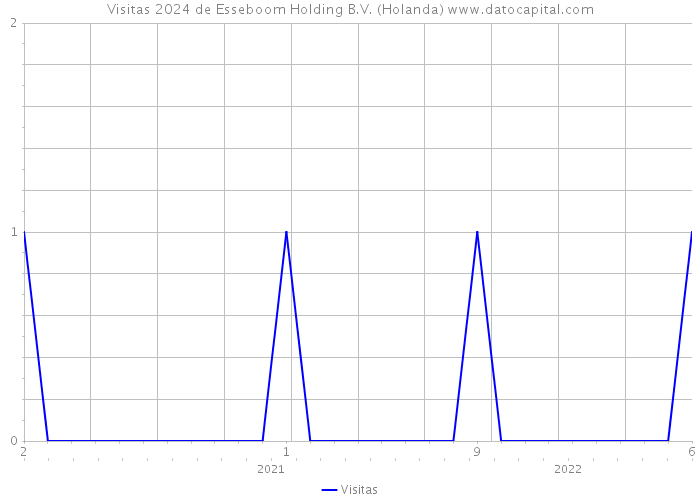 Visitas 2024 de Esseboom Holding B.V. (Holanda) 